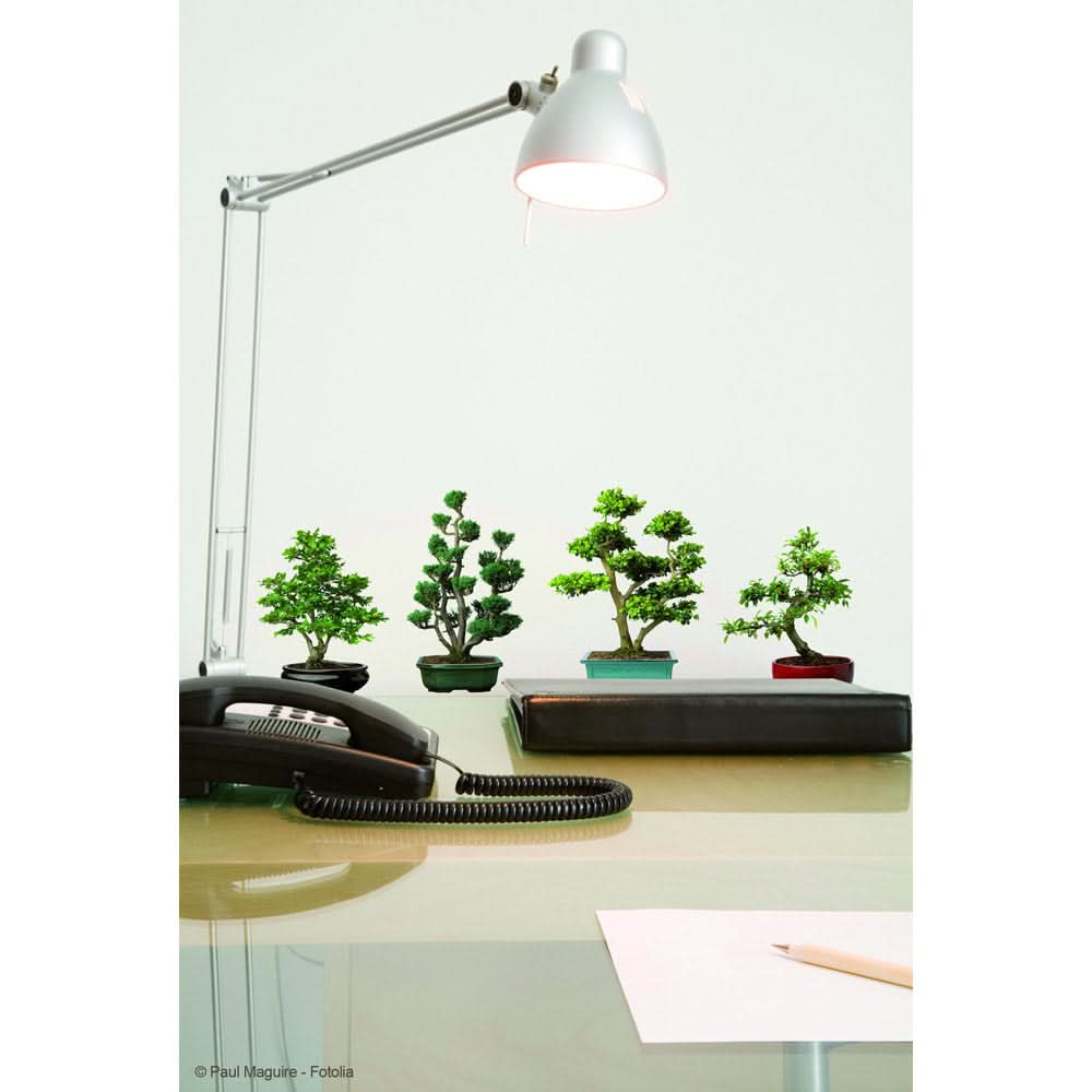 Plage Wall Sticker, Small, Bonsais