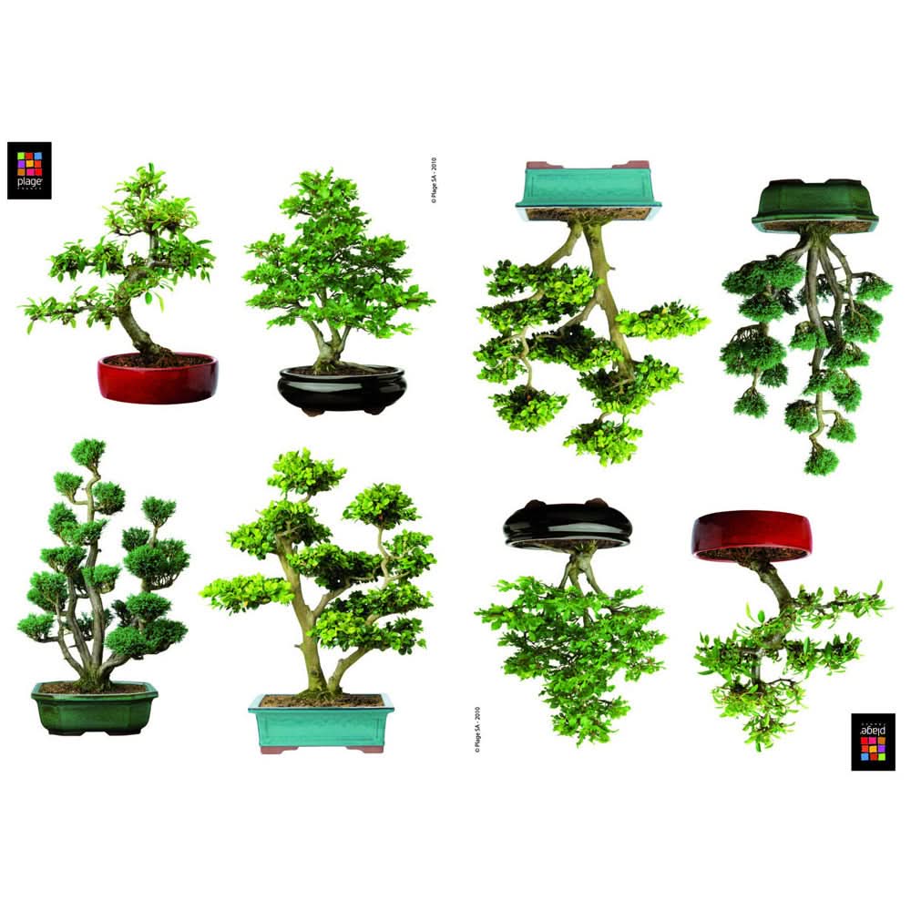 Plage Wall Sticker, Small, Bonsais