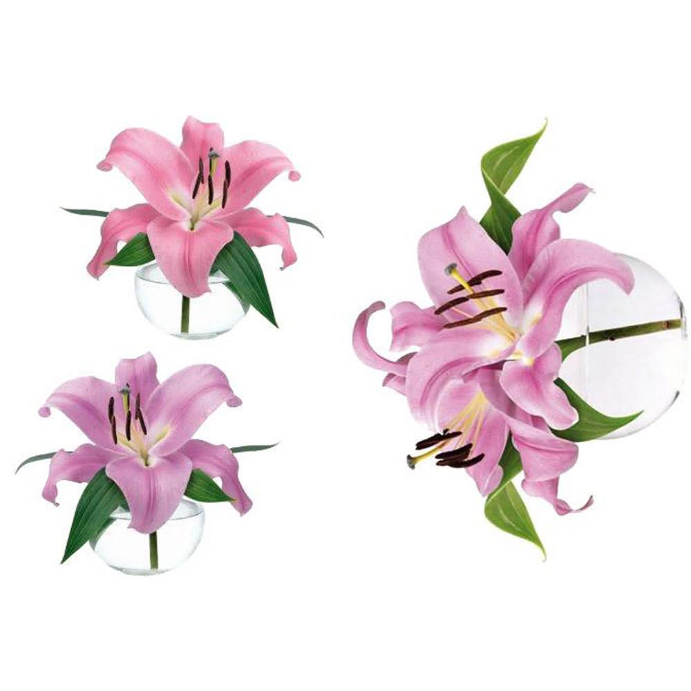 Plage Wall Sticker, Small, Lily Flower