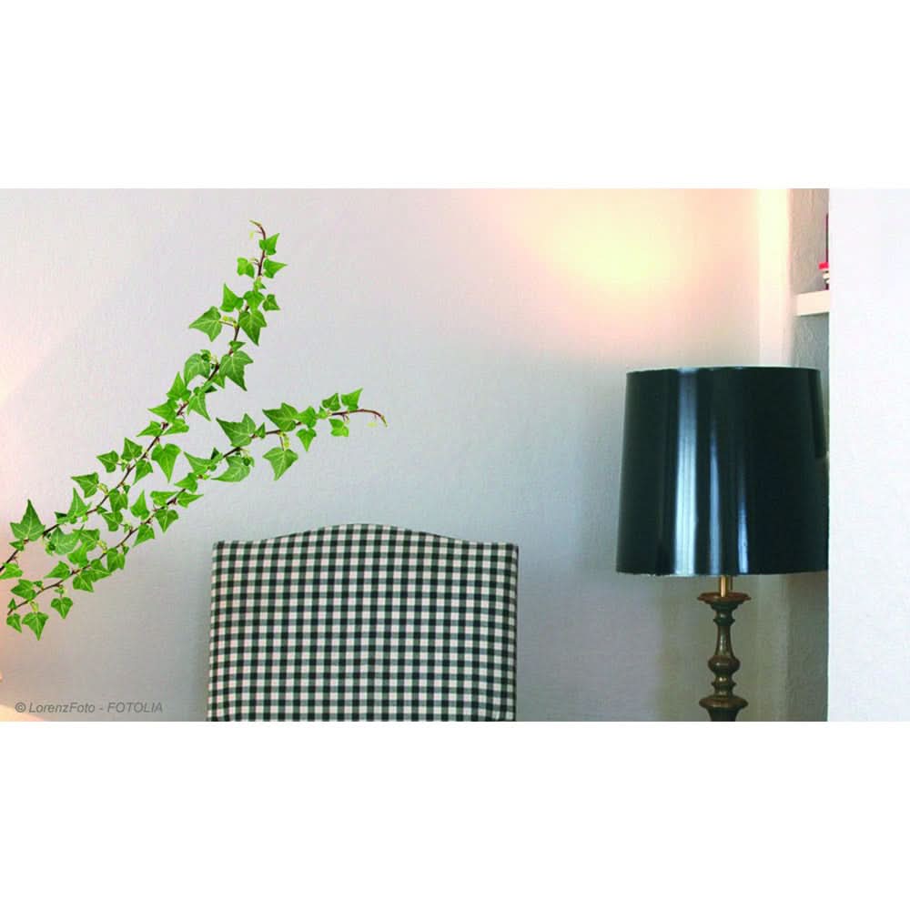 Plage Wall Sticker, Medium, Nature