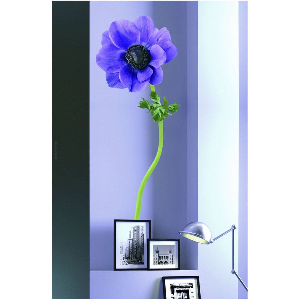 Plage Wall Sticker, Large, Violet Anemone
