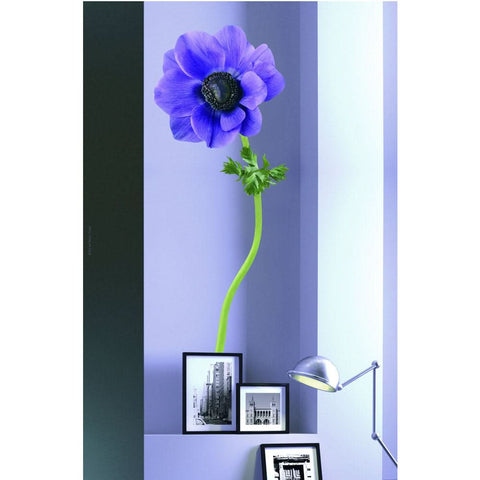 Plage Wall Sticker, Large, Violet Anemone