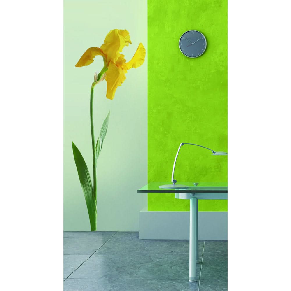 Plage Wall Sticker, Large, Yellow Iris