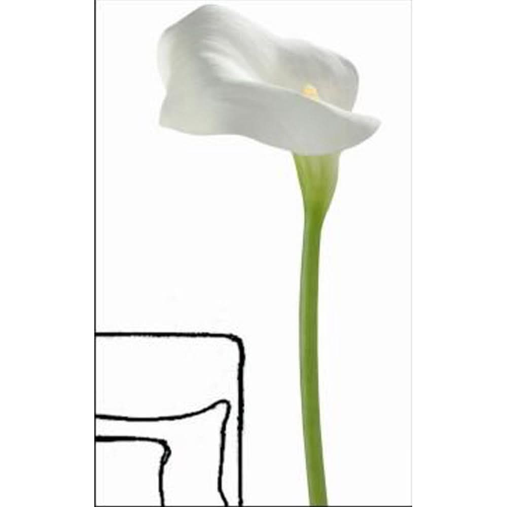 Plage Wall Sticker, Large, White Arum