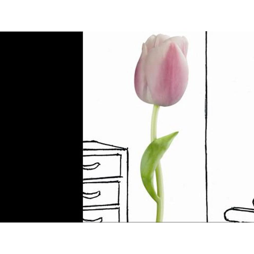 Plage Wall Sticker, Large, Tulip Morning Dew