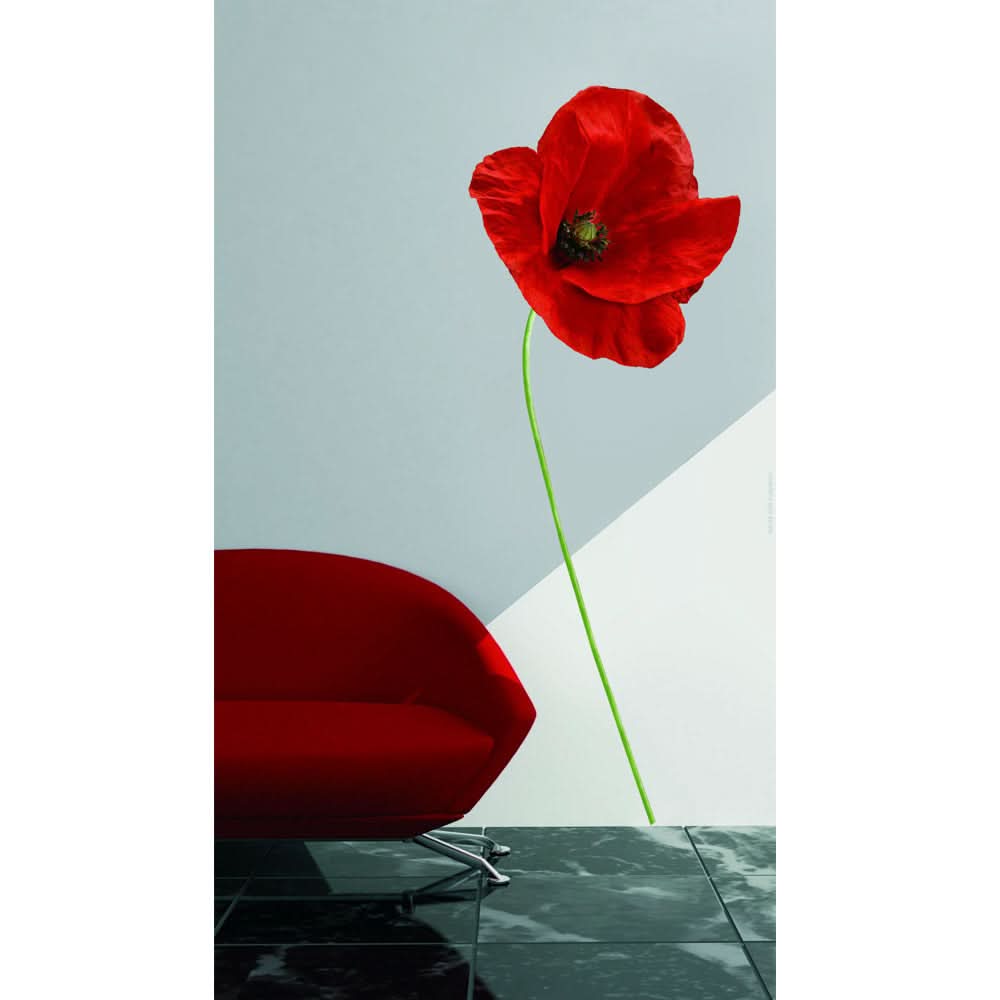 Plage Wall Sticker, Large, Poppy