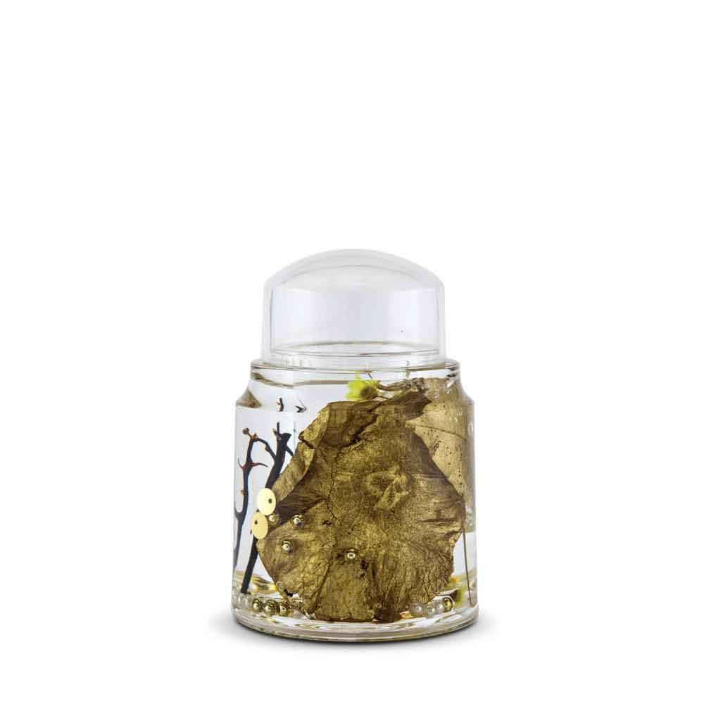 Eden Toothpick Holder